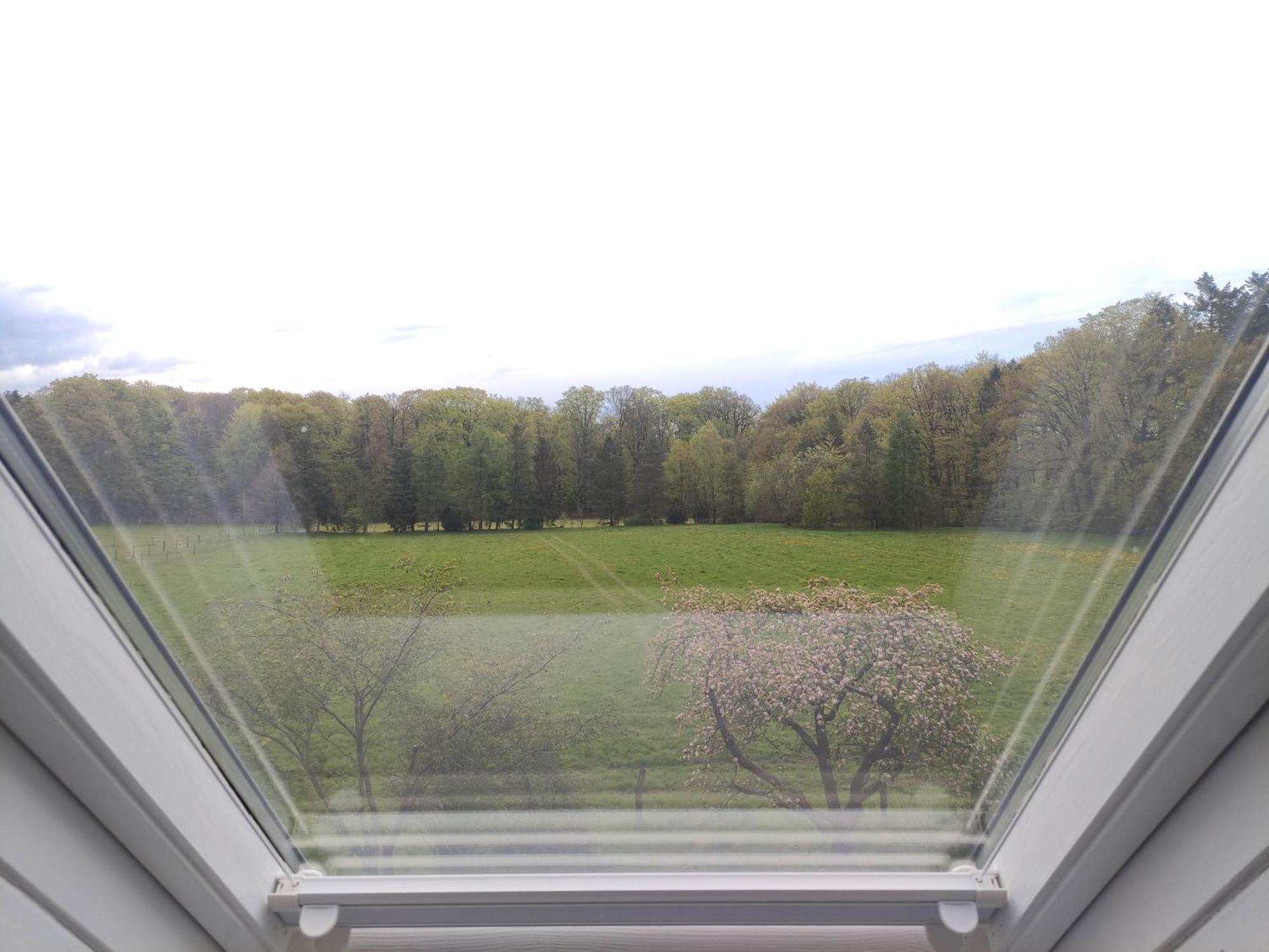 Fewo - Dat Tweete Tohuus - Im Herzen Der Lueneburger Heide Soltau Esterno foto
